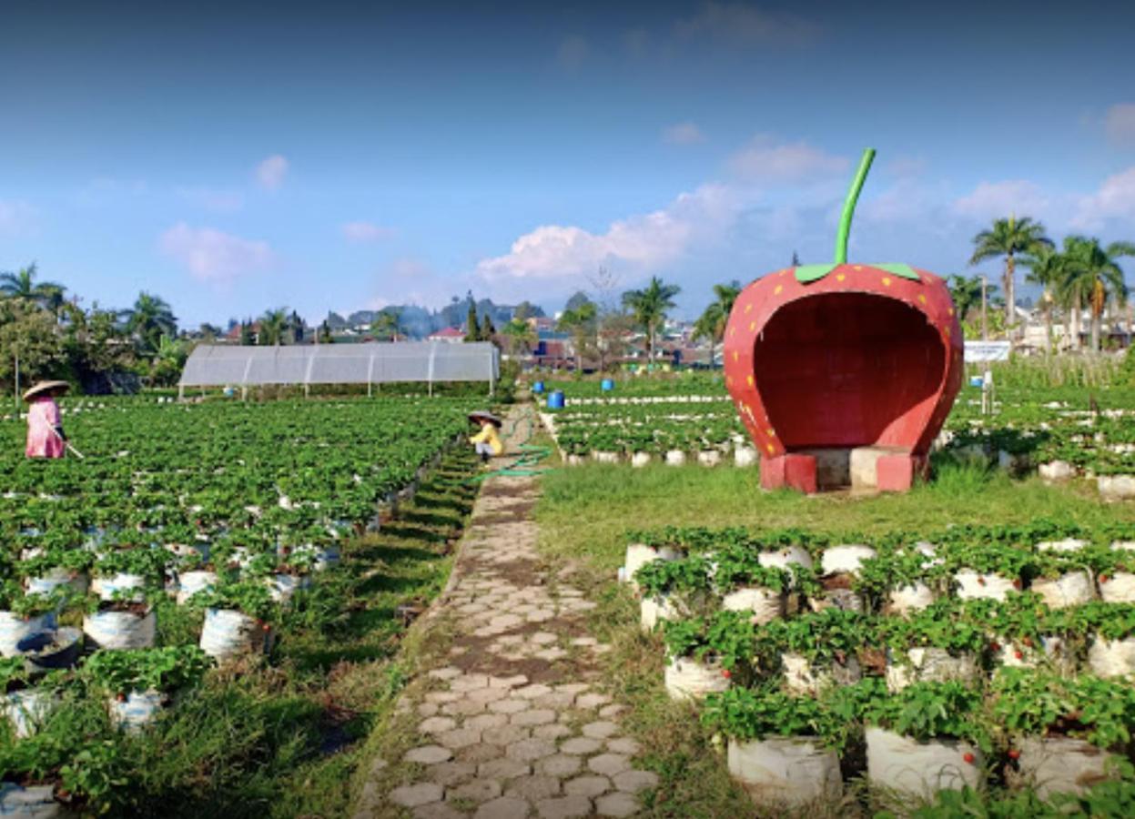 Villa Musti Green Apple Cipanas Sindanglaya Exterior foto